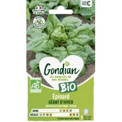 GONDIAN BIO-Épinard GÉANT...