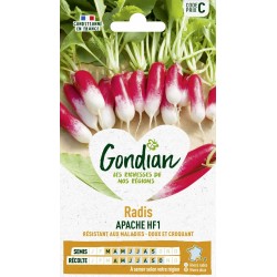 GONDIAN Radis APACHE HF1...