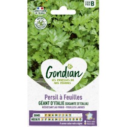 GONDIAN Persil à Feuilles...