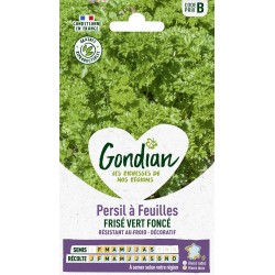GONDIAN Persil à Feuilles...