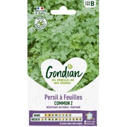 GONDIAN Persil à Feuilles...