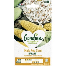 GONDIAN Maïs Pop Corn NANA...