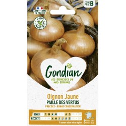 GONDIAN Oignon JAUNE PAILLE...