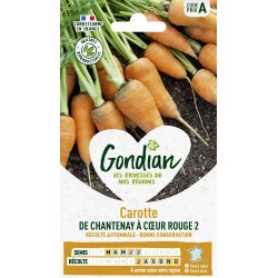 GONDIAN Carotte DE...