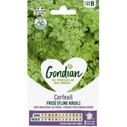 GONDIAN Cerfeuil FRISÉ...