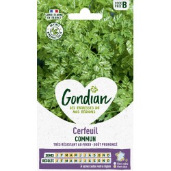 GONDIAN Cerfeuil COMMUN...