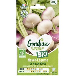 GONDIAN BIO-Navet Légume DE...