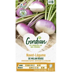 GONDIAN Navet Légume DE...