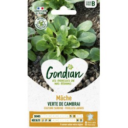 GONDIAN Mâche VERTE DE...