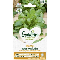 GONDIAN Mâche RONDE...