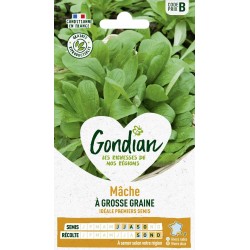 GONDIAN Mâche À GROSSE...