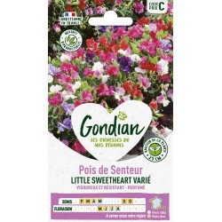 GONDIAN Pois de Senteur...