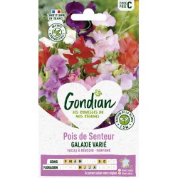 GONDIAN Pois de Senteur...