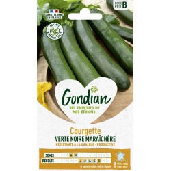 GONDIAN Courgette VERTE...