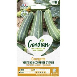 GONDIAN Courgette VERTE NON...