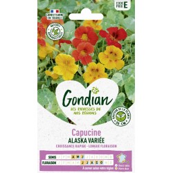 GONDIAN Capucine ALASKA...