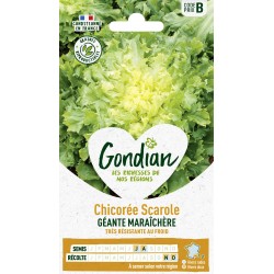 GONDIAN Chicorée Scarole...