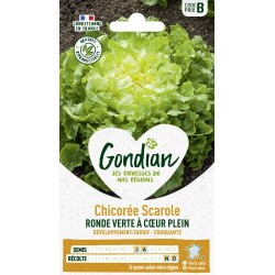 GONDIAN Chicorée Scarole...