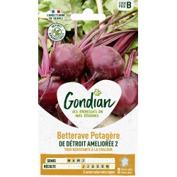 GONDIAN Betterave Potagère...