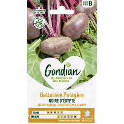 GONDIAN Betterave Potagère...