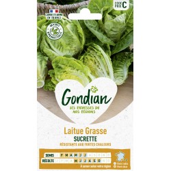 GONDIAN Laitue Grasse...