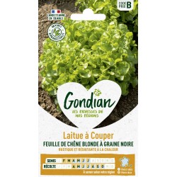 GONDIAN Laitue à Couper...