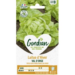 GONDIAN Laitue d'Hiver VAL...