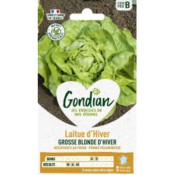 GONDIAN Laitue d'Hiver...