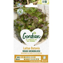 GONDIAN Laitue Batavia...
