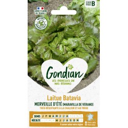 GONDIAN Laitue Batavia...