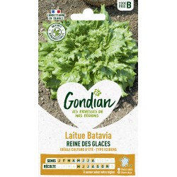 GONDIAN Laitue Batavia...