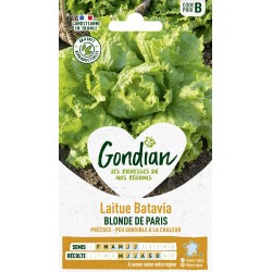 GONDIAN Laitue Batavia...