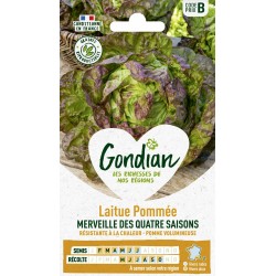 GONDIAN Laitue Pommée...