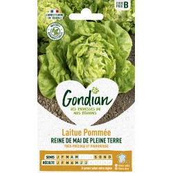 GONDIAN Laitue Pommée REINE...
