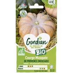 GONDIAN BIO-Courge Musquée...