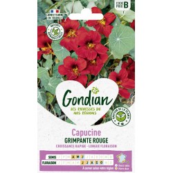 GONDIAN Capucine GRIMPANTE...