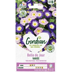 GONDIAN Belle de Jour...