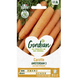 GONDIAN Carotte AMSTERDAM 3...