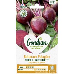 GONDIAN Betterave Potagère...
