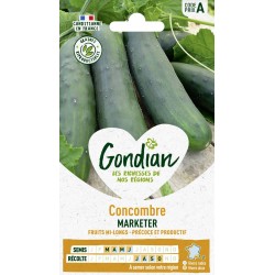 GONDIAN Concombre MARKETER...