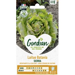 GONDIAN Laitue Batavia...