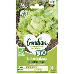 GONDIAN BIO-Laitue Batavia...