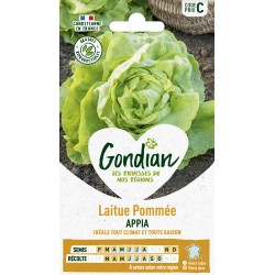 GONDIAN Laitue Pommée APPIA...