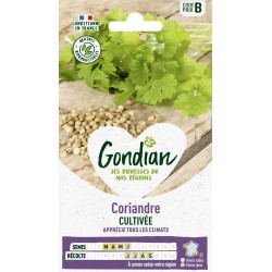 GONDIAN Coriandre CULTIVÉE...