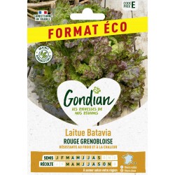 GONDIAN FORMAT ÉCO-Laitue...