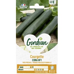GONDIAN Courgette CORA HF1...