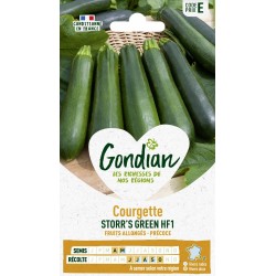 GONDIAN Courgette STORR'S...