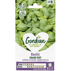 GONDIAN Basilic GRAND VERT...