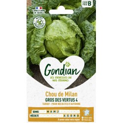 GONDIAN Chou de Milan GROS...