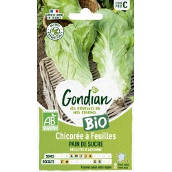 GONDIAN BIO-Chicorée à...